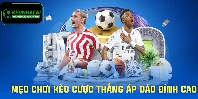 keo-cuoc-thang-ap-dao-meo-choi