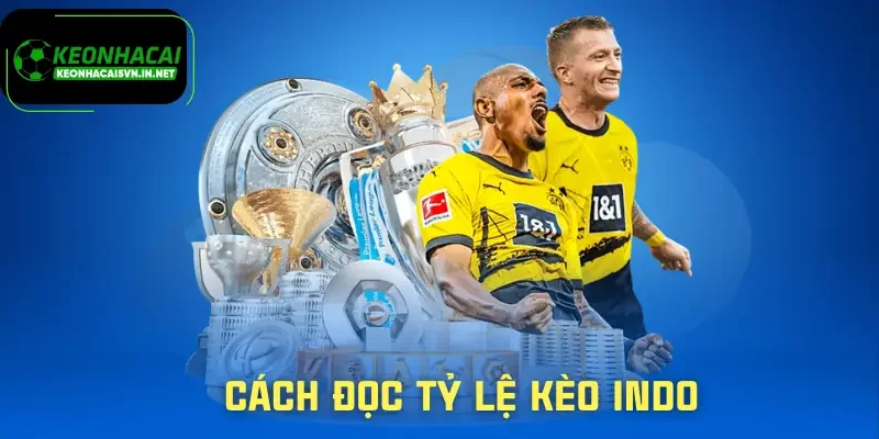 Kèo Indo | Kinh Nghiệm Chọn Kèo An Toàn Từ Hội Viên 3 keo-indo-cach-doc