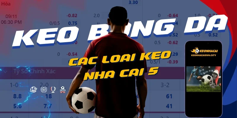 Keo Nha Cai 5 – Kèo Nhà Cái Chuẩn – Tỷ Lệ Kèo Nhà Cái 88 10 keo-nha-cai-5-la-gi_-dinh-nghia-chuan-xac-2.webp